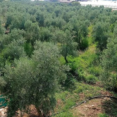 Apartment Sakin Huzurlu Tatil